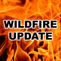 wildfire-flipper-png-40