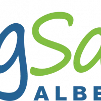 agsafe_colour_lightbackground5d45-png-4