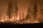 fire-vid-png-10