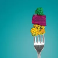 foodonfork-jpg