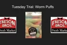 tuesday-trial-47-2