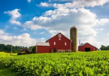 Beautiful farm field and barn on a farm near Spring Grove^ Pennsylvania.