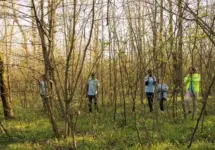 Team of lifesavers rescuers searching for a missing person^ calling their name in the forest and going through the trees to track footsteps. Search squad members looking for a lost victim.