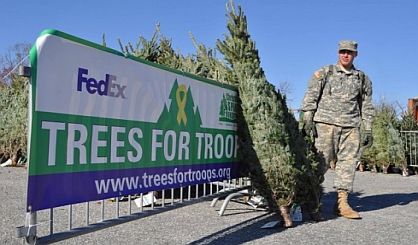 Trees For Troops Sends Hundreds Of Christmas Trees To Soldiers | News ...