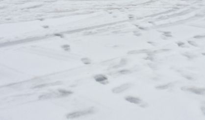 snow
