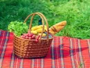 picnic-basket-with-fruits-on-the-blanket