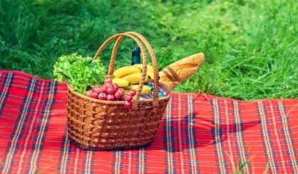 picnic-basket-with-fruits-on-the-blanket