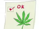 marijuana88