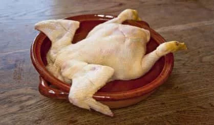 chicken