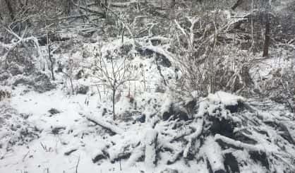 Snow Likely Won T Stick Around Long News Talk Sports 94 9 Wsjm