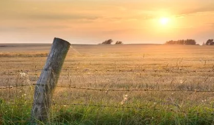 meadow-and-fence