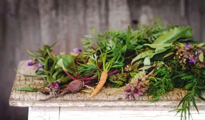 herbs-and-vegetables