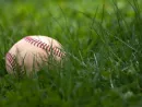 baseball-in-the-grass