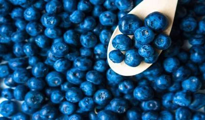 blueberries-3