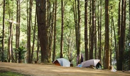 camping-tent-in-forest-of-thailand