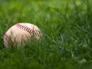 baseball-in-the-grass-2