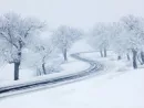 snowy-winter-road-trees-with-snow-and-fog