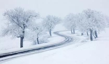 snowy-winter-road-trees-with-snow-and-fog