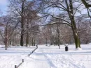 winter-in-the-park