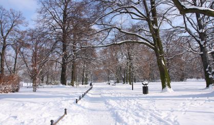 winter-in-the-park