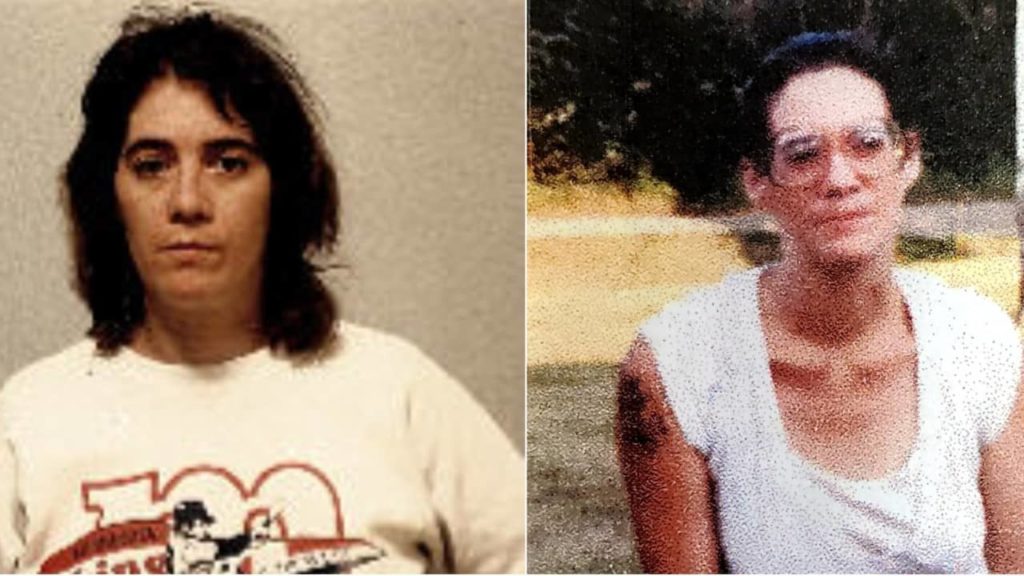 Woman Identified 27 Years After Remains Found In Michigan - Vimarsana News