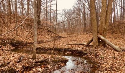 New Nature Preserve Announced In New Buffalo Township - Vimarsana News