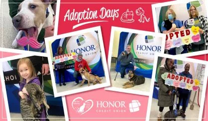 2022_adoptiondays