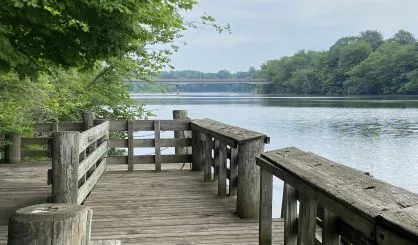 view-of-walton-bridge-from-public-access-1