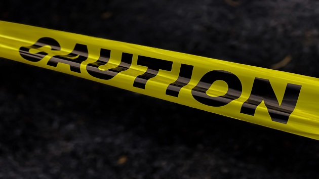 Three children, mother pulled from lake in apparent triple murder-suicide - Vimarsana News