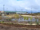 rain-garden-meijer