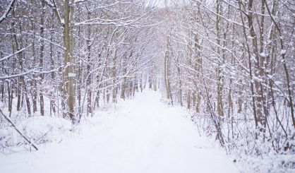 Berrien County likely to be spared by winter storm, Van Buren could see some effects - Vimarsana News