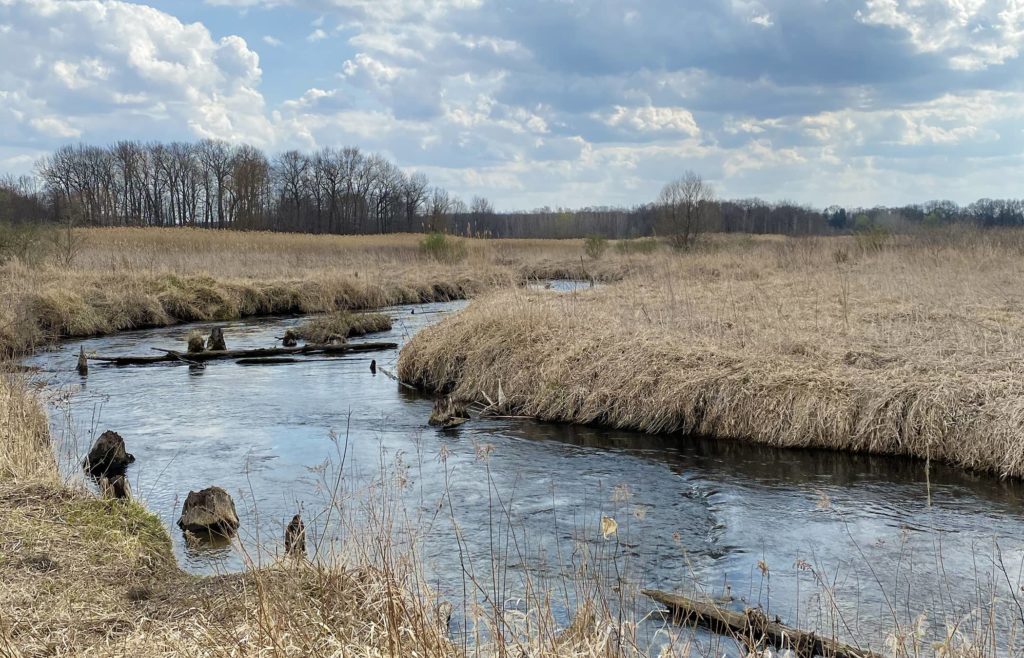 Local endangered species to be protected as SWMLC gets grant to acquire LaGrange Valley - Vimarsana News