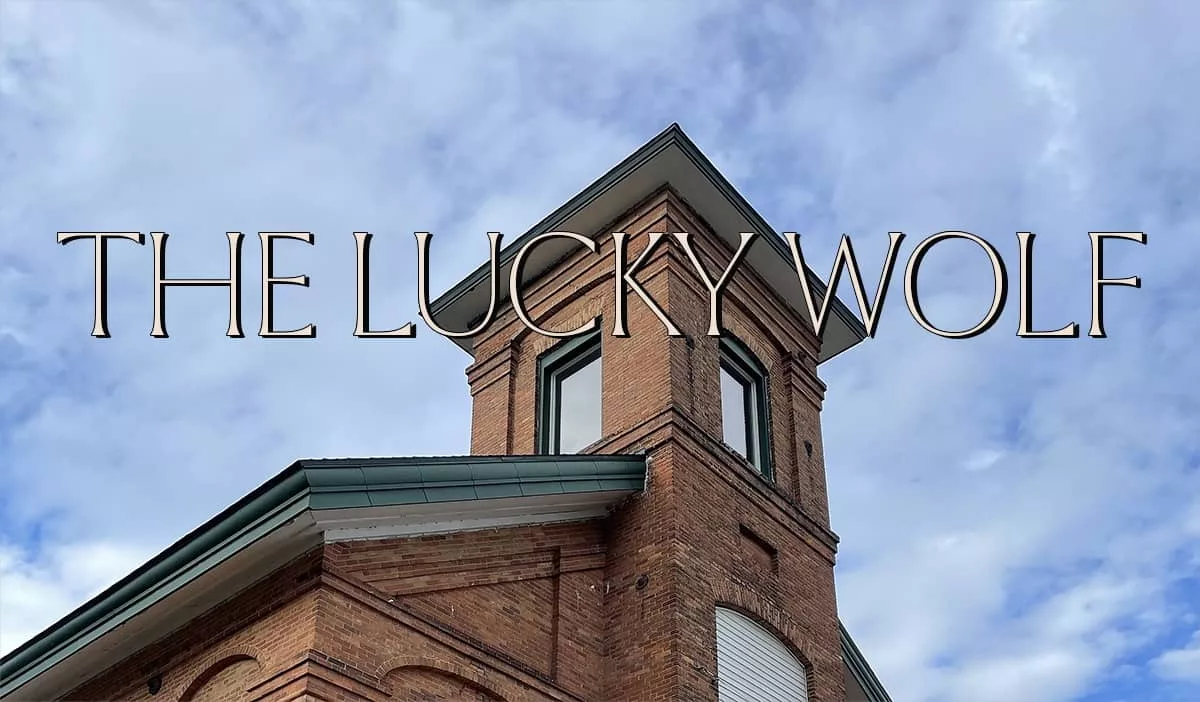 lucky-wolf-cafe