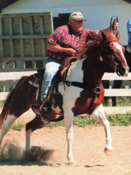 900w_655a69ac9da75-500x666798512-1