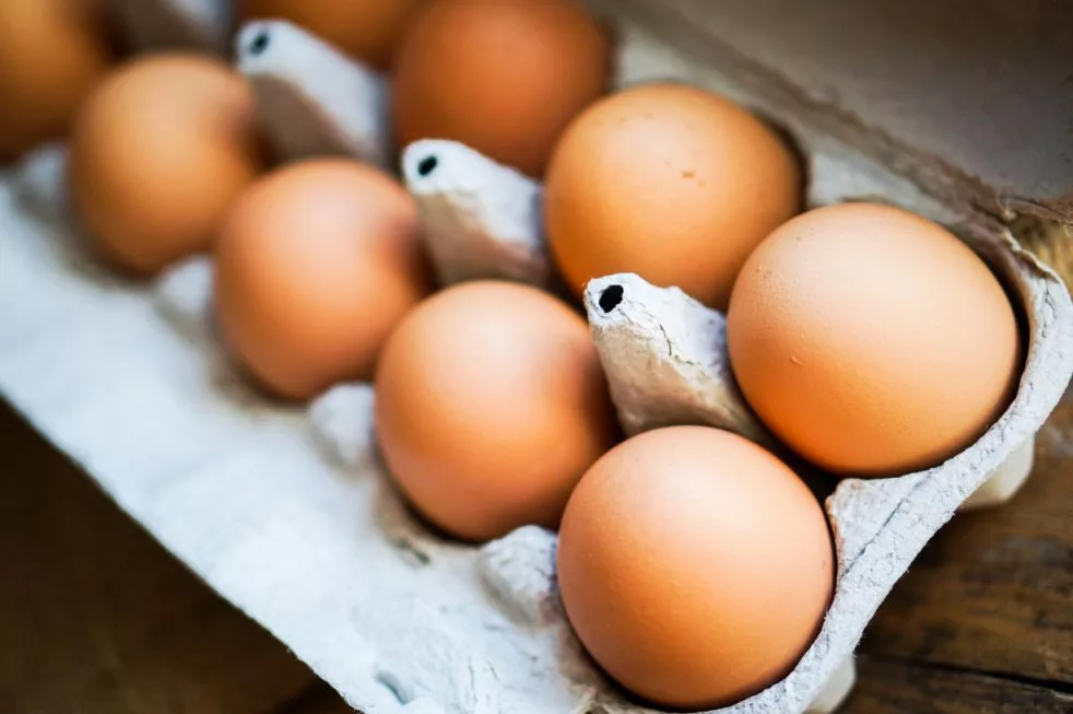 farm-raised-brown-chicken-eggs
