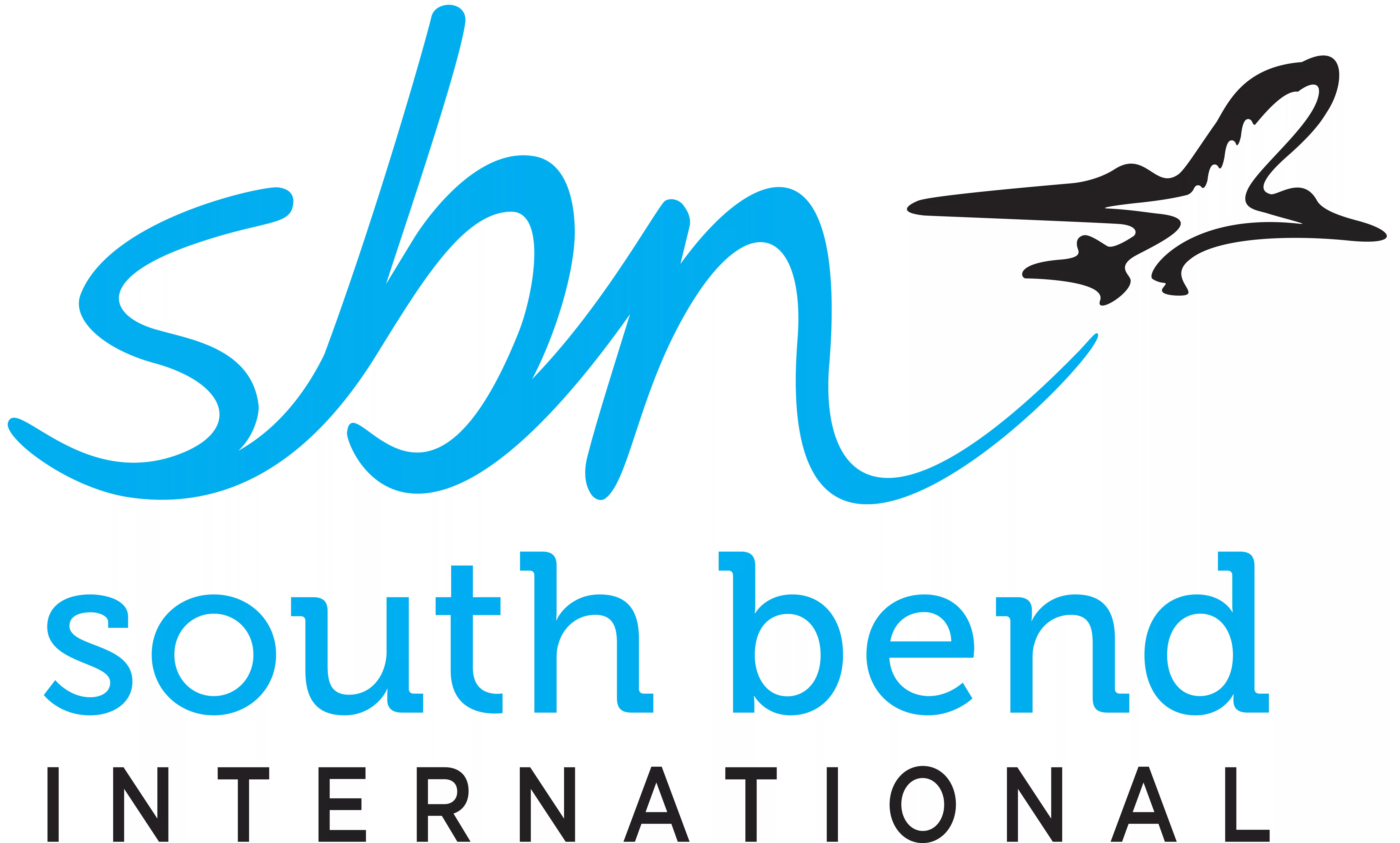 sbn_international_logo_2color-2