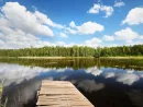 a-lake-in-estonia-in-beautiful-summer-day