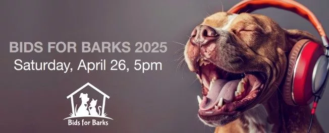 bids-for-barsk