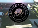 pachedern-peddlers