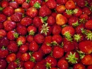 strawberries-5