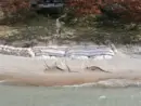 rdwerfweweewwe