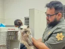 news_cats2_7125117584