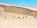 sgsdgrgr