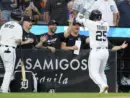 diamondbacks-tigers-baseball