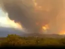 news_calfirerosa_080525300990