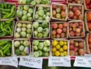 st-joe-farmers-market-01
