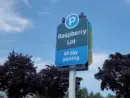 raspberry-lot