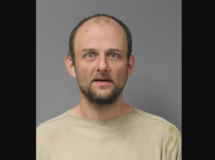 Suspect in custody after armed robbery, chase in Berrien Springs | News ...