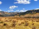 getty_rio-grande-national-forest-01-gty-jt-250918_1758211328108_hpmain_4x3396108