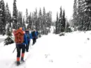 n_hikers-ht-jt-251023_1761233052272_hpmain_4x3595504